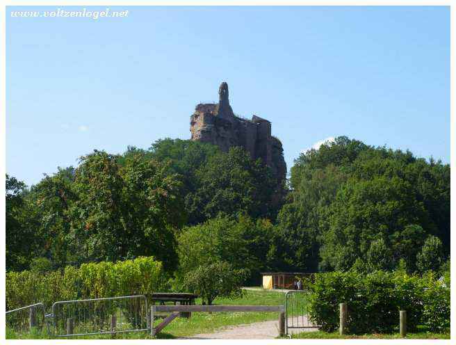 Paysage automnal autour du Gimbelhof et de ses forêts