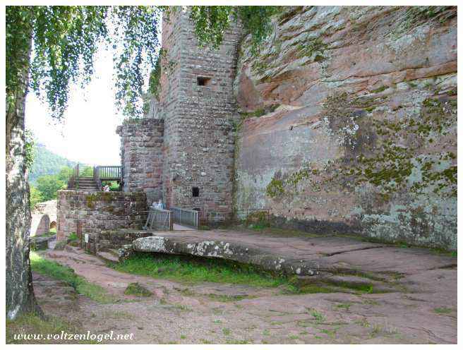 Sentier ombragé reliant le Gimbelhof aux Vosges du Nord