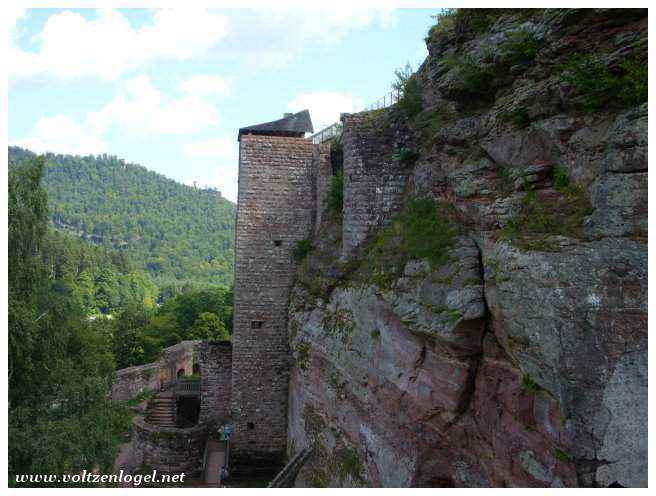 Architecture défensive des châteaux alsaciens du XIIe siècle