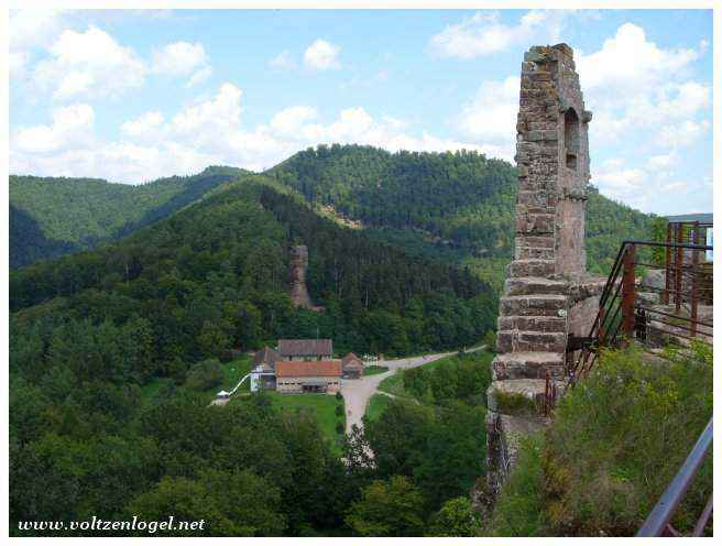 Chemin ombragé menant au château de Wegelnbourg