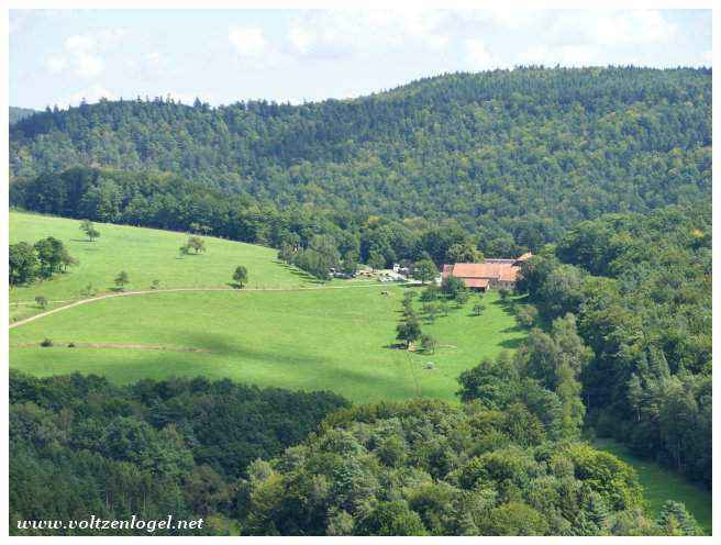 Ambiance médiévale à la balade du Gimbelhof