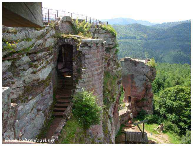 Ruines des châteaux Hohenbourg et Loewenstein.