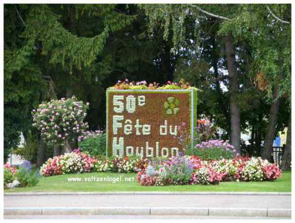 Le Festival du Houblon ville de Haguenau