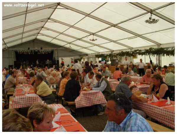 Festival du Houblon à Haguenau : célébration de la culture et des traditions alsaciennes