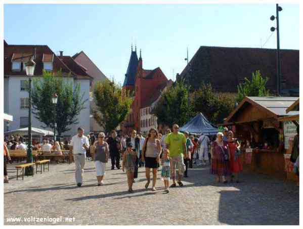 Défilé coloré de la Fête du Houblon à Haguenau, célébrant les folklores du monde.