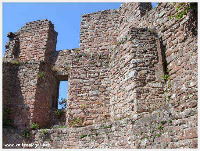 Randonnée et nature autour du château