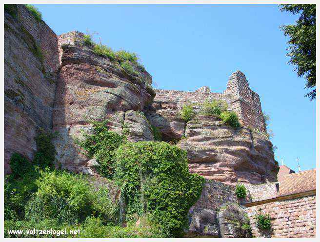 Vue panoramique du Château Fort du Haut-Barr surplombant l'Alsace médiévale