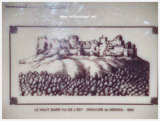 Visites culturelles et historiques du Château du Haut-Barr