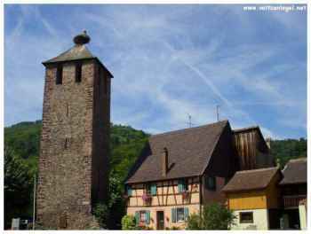 Vacances en Alsace dans la vallée de Kaysersberg