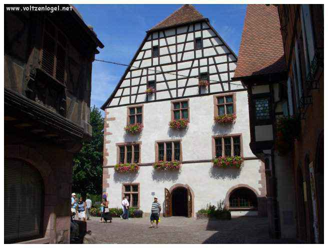 Château de Kaysersberg, symbole de son histoire médiévale