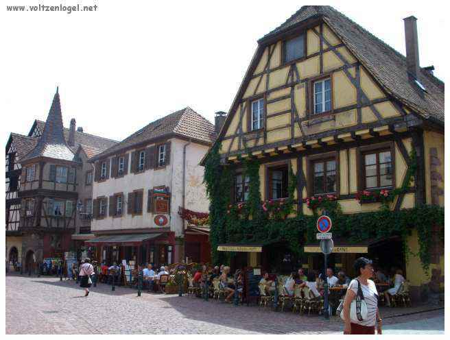 Château de Kaysersberg, symbole de son histoire médiévale