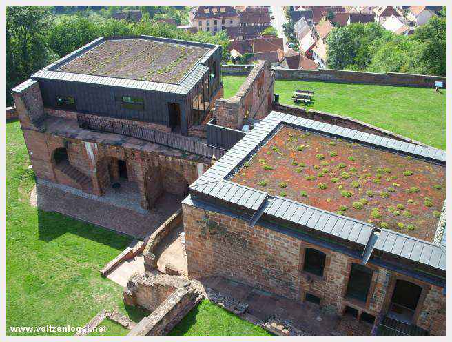 Guide animant une visite historique du château