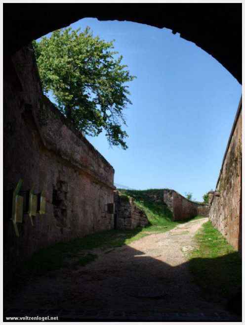 Ruines du Château de Lichtenberg : témoignage du passé médiéval.