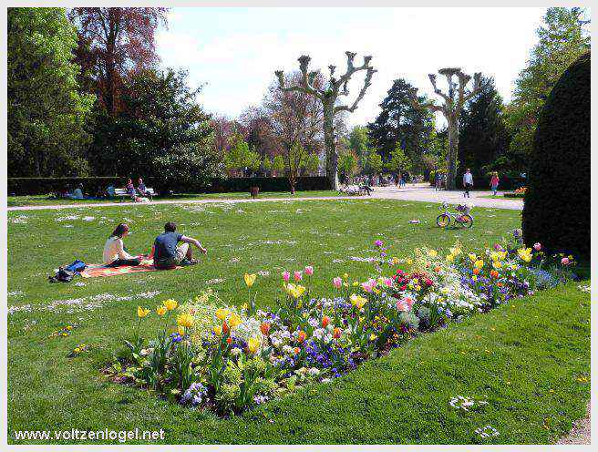 Jardin Botanique : diversité végétale et évasion sensorielle.