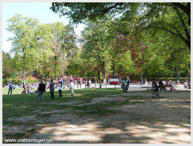 Allée bordée d’arbres centenaires, idéale pour une promenade