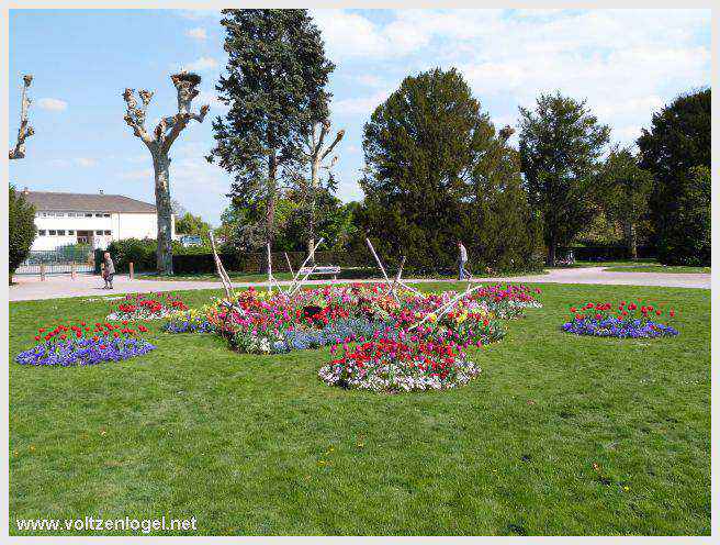 Jardin Botanique foisonnant de couleurs et de senteurs