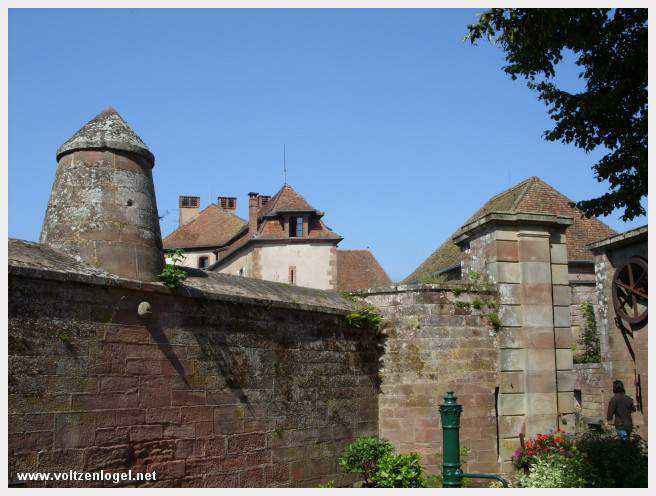 Découvrez la Route des châteaux d'Alsace