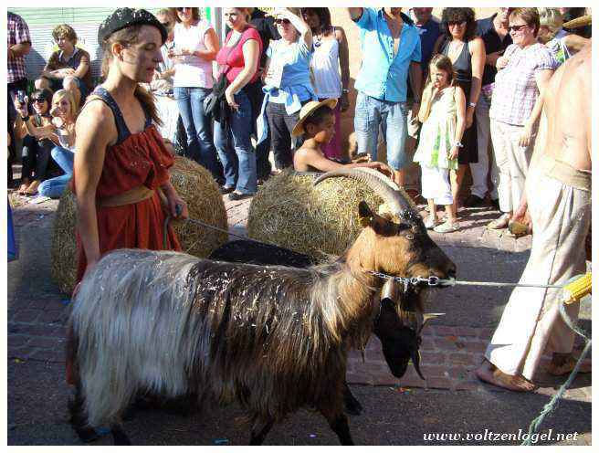 Fête des Ménétriers Ribeauvillé