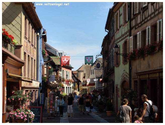 Château médiéval dominant les vignobles de Ribeauvillé en Alsace.