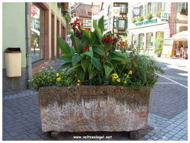 Château médiéval dominant les vignobles de Ribeauvillé en Alsace.