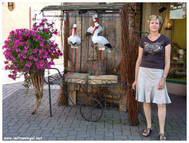 Château médiéval dominant les vignobles de Ribeauvillé en Alsace.