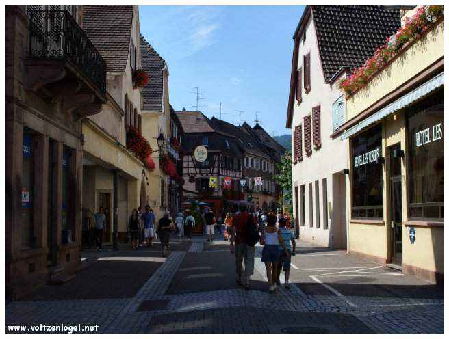 Rues pavées de Ribeauvillé avec maisons à colombages et vignobles environnants