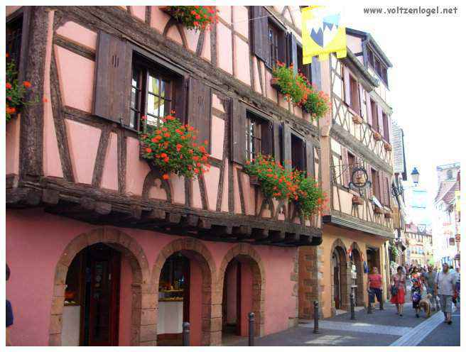 Château médiéval dominant les vignobles de Ribeauvillé en Alsace.