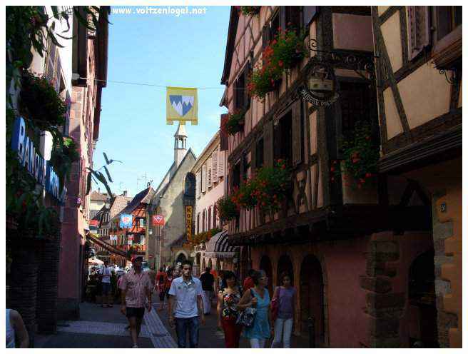 Château médiéval dominant les vignobles de Ribeauvillé en Alsace.