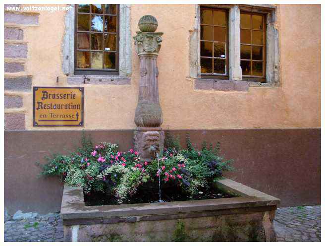 Château médiéval dominant les vignobles de Ribeauvillé en Alsace.