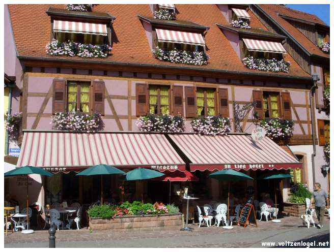 Château médiéval dominant les vignobles de Ribeauvillé en Alsace.