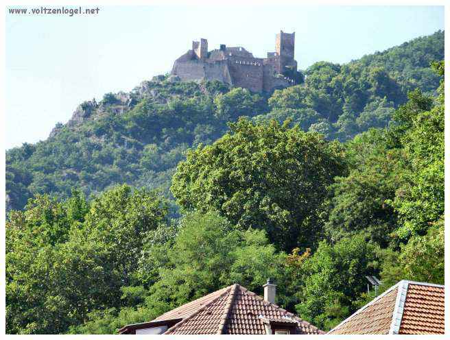 Château médiéval dominant les vignobles de Ribeauvillé en Alsace.