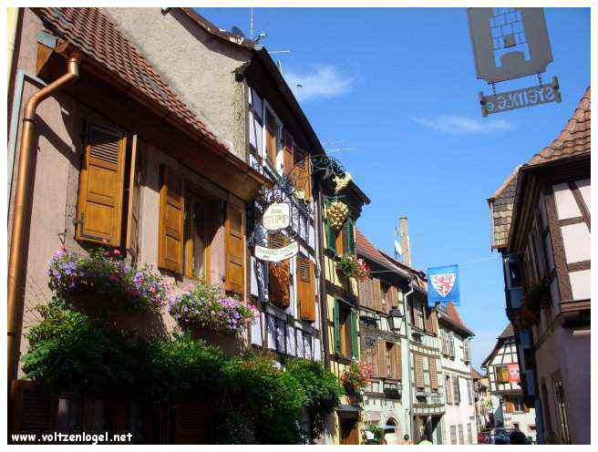 Château médiéval dominant les vignobles de Ribeauvillé en Alsace.