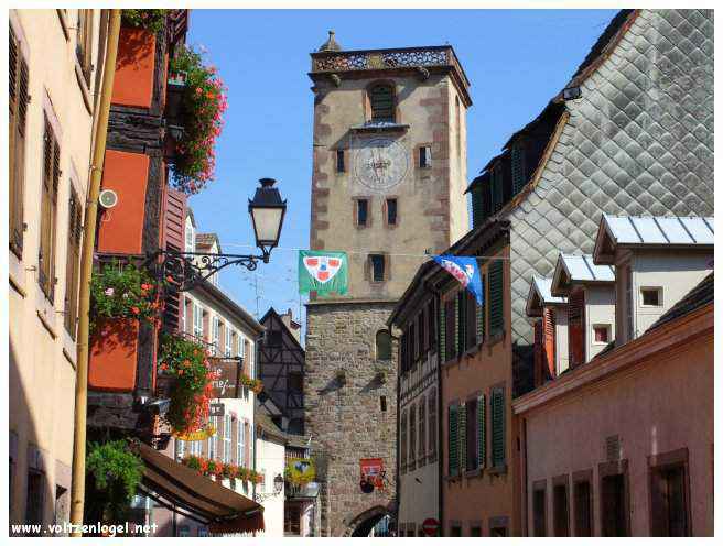Château médiéval dominant les vignobles de Ribeauvillé en Alsace.