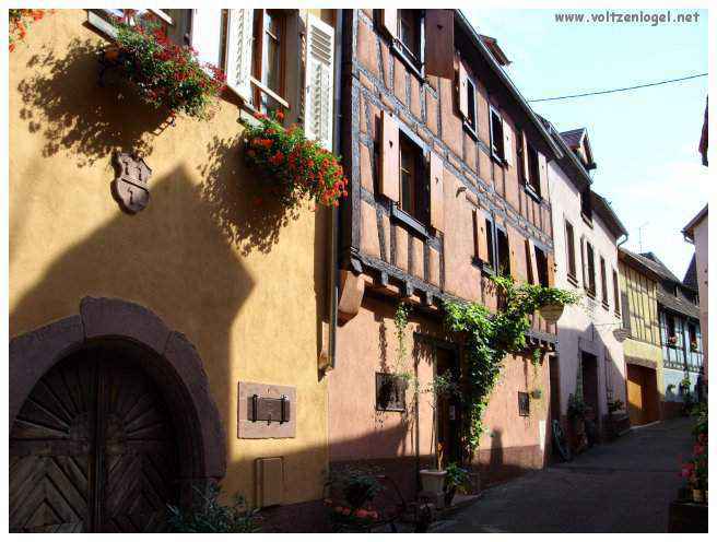 Château médiéval dominant les vignobles de Ribeauvillé en Alsace.
