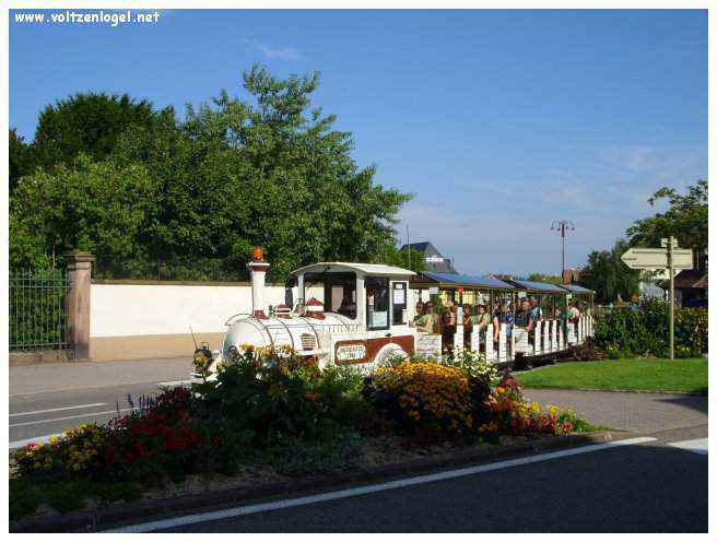 Château médiéval dominant les vignobles de Ribeauvillé en Alsace.