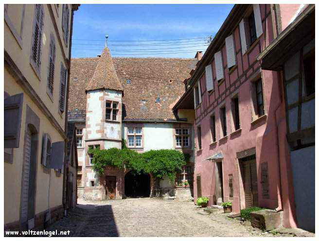 Architecture médiévale et ruelles pavées de Riquewihr, Alsace