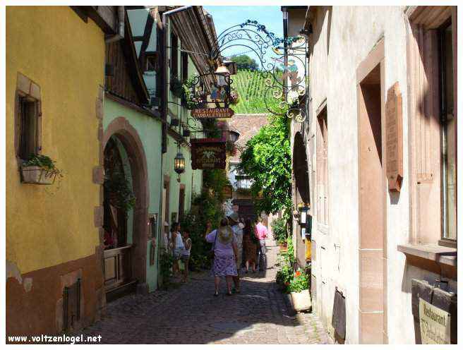 Architecture médiévale et ruelles pavées de Riquewihr, Alsace