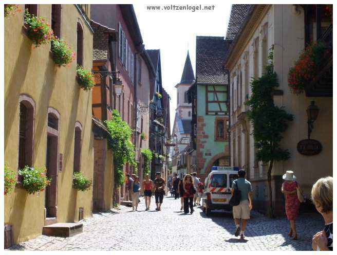 Architecture médiévale et ruelles pavées de Riquewihr, Alsace