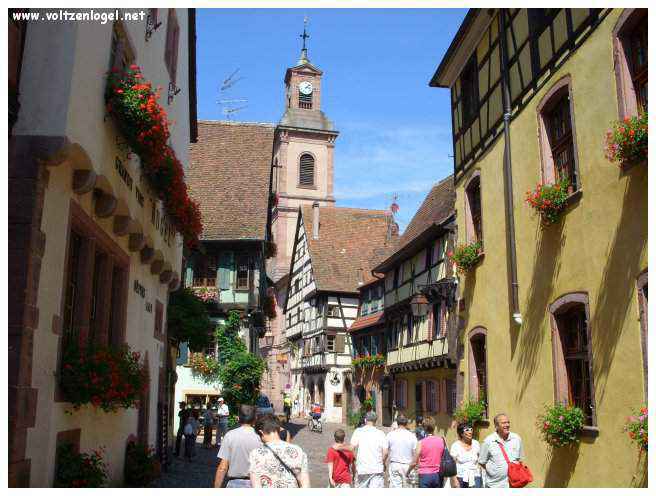 Architecture médiévale et ruelles pavées de Riquewihr, Alsace