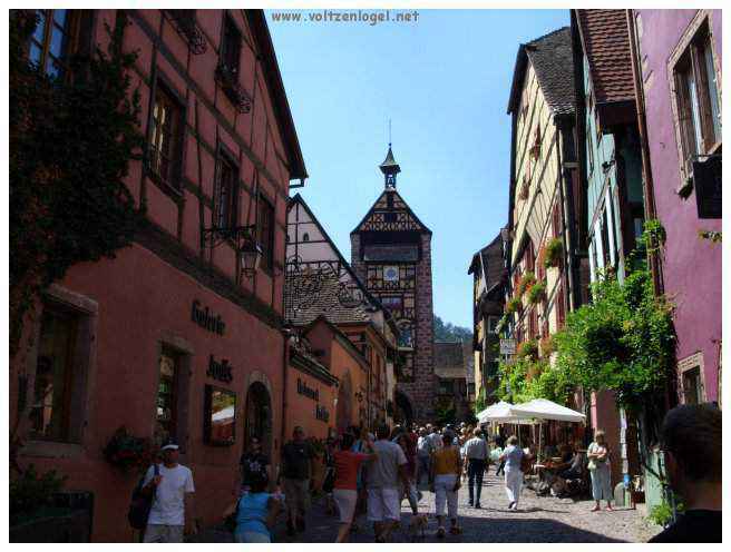 Architecture médiévale et ruelles pavées de Riquewihr, Alsace
