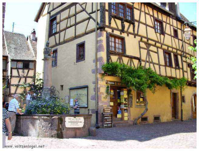 Architecture médiévale et ruelles pavées de Riquewihr, Alsace