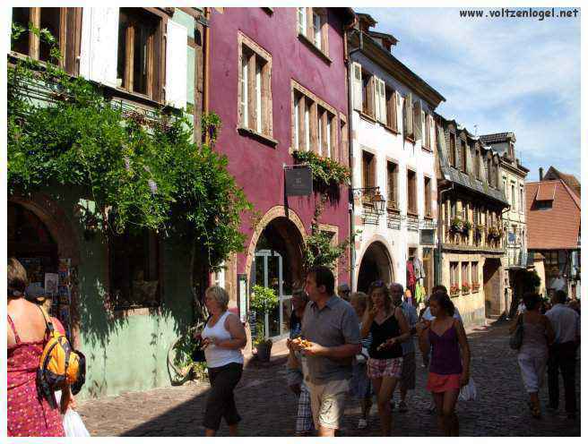 Architecture médiévale et ruelles pavées de Riquewihr, Alsace