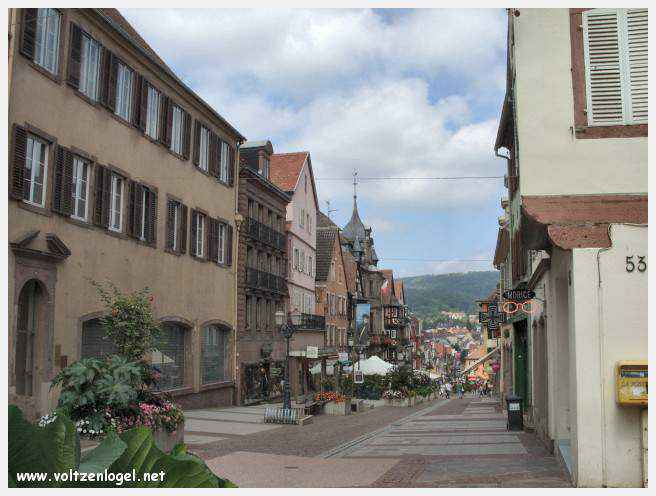 Château des Rohan dominant le canal de la Marne au Rhin à Saverne