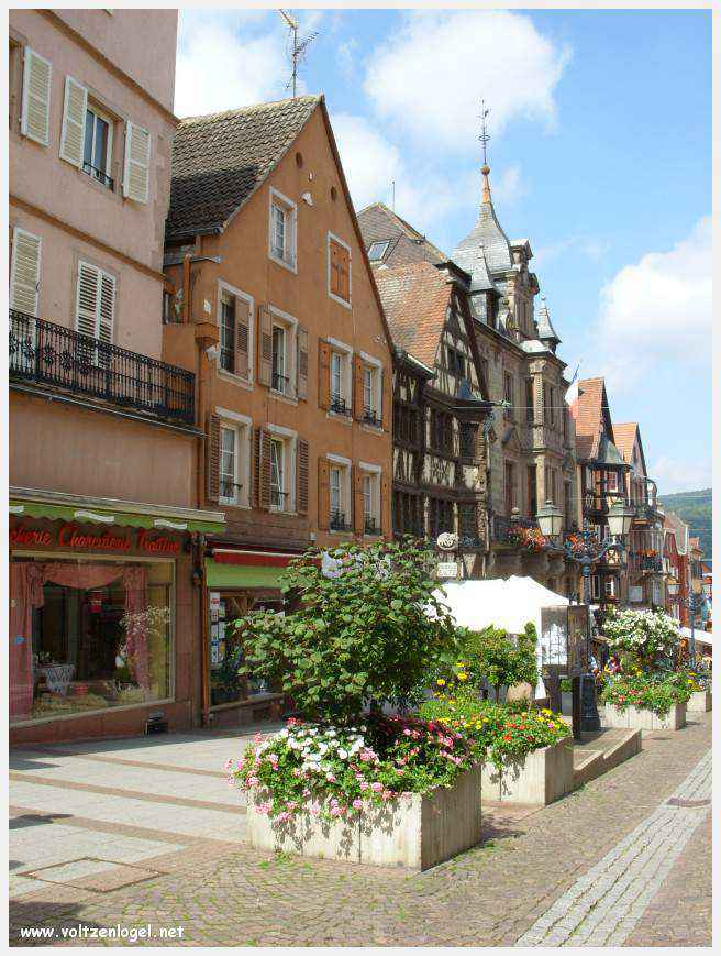 Château des Rohan dominant le canal de la Marne au Rhin à Saverne