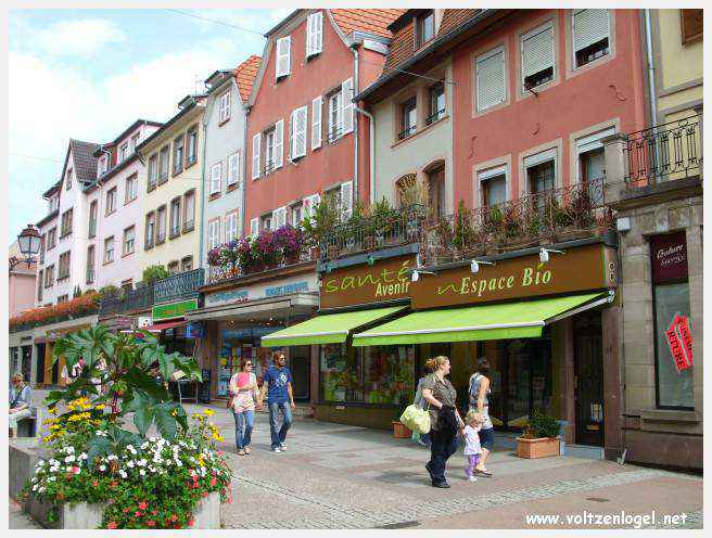 Château des Rohan dominant le canal de la Marne au Rhin à Saverne
