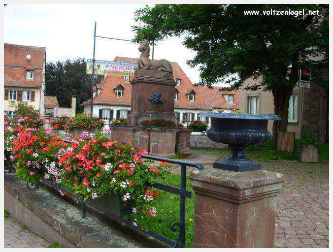 Château des Rohan dominant le canal de la Marne au Rhin à Saverne