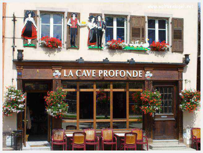 Château des Rohan dominant le canal de la Marne au Rhin à Saverne