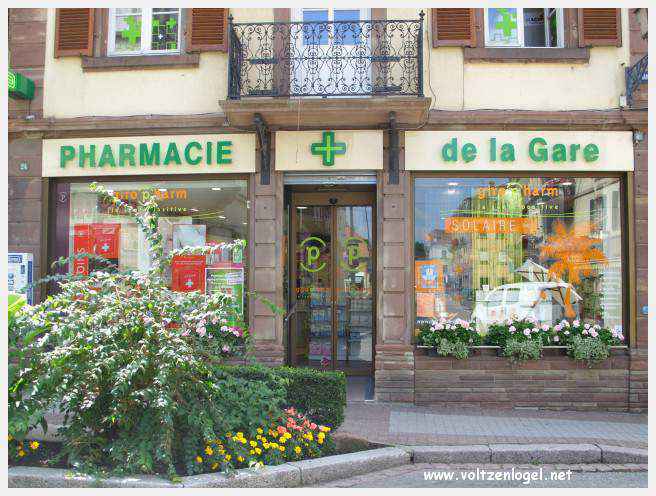 Château des Rohan dominant le canal de la Marne au Rhin à Saverne