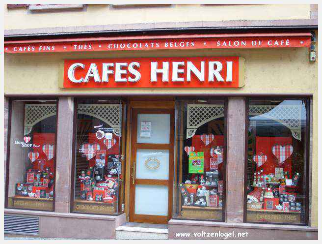 Château des Rohan dominant le canal de la Marne au Rhin à Saverne