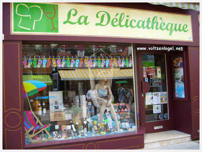 Château des Rohan dominant le canal de la Marne au Rhin à Saverne